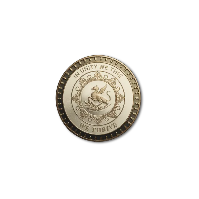 custom coin